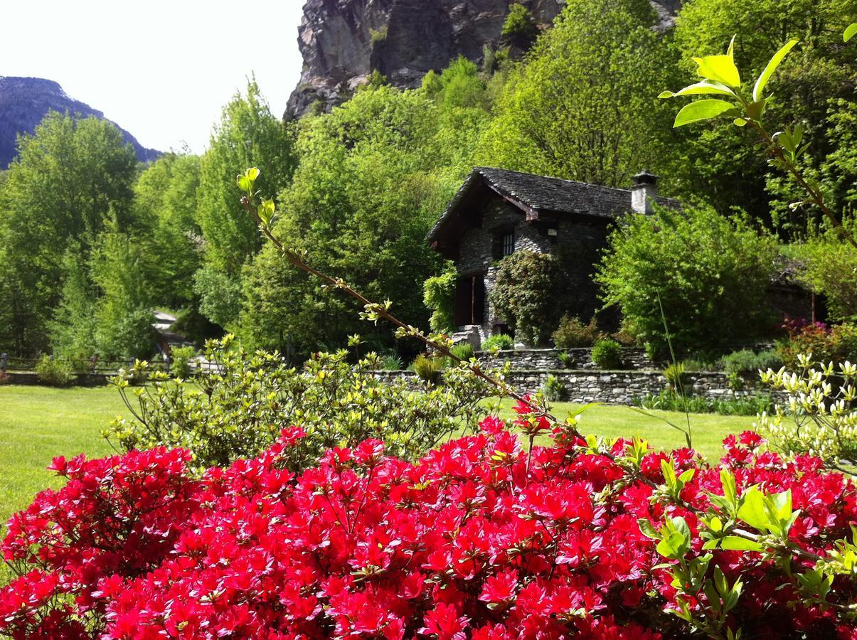 Chalet La Baita Βίλα Baceno Εξωτερικό φωτογραφία