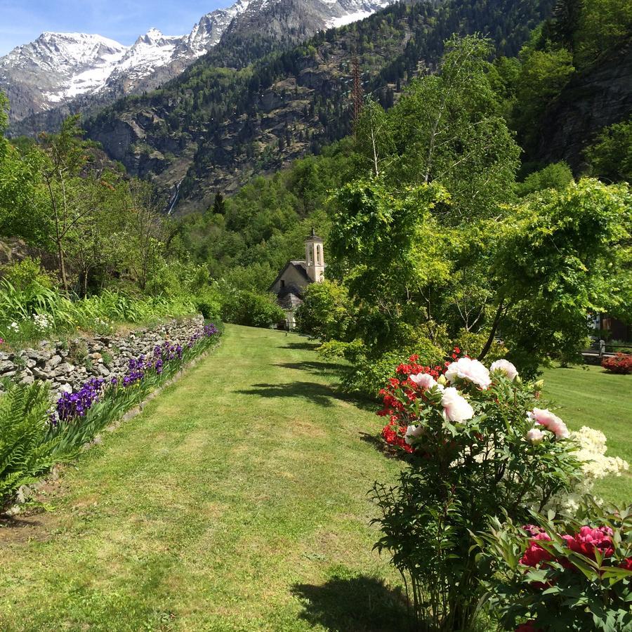 Chalet La Baita Βίλα Baceno Εξωτερικό φωτογραφία